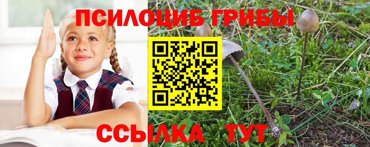 Псилоцибиновые грибы GOLDEN TEACHER  Вход с VPN  Орехово-Зуево  Псилоцибиновые грибы мухоморы 