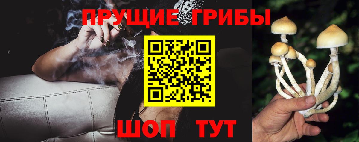 Галлюциногенные грибы Cubensis Орехово-Зуево